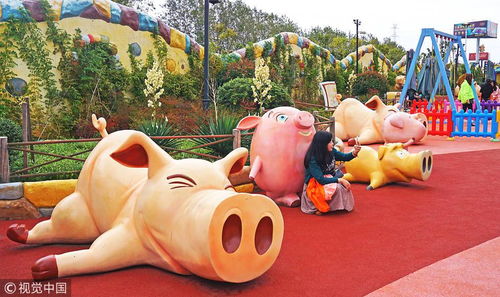 2019豬年,這些景點(diǎn)看豬 玩豬 保管你開(kāi)心